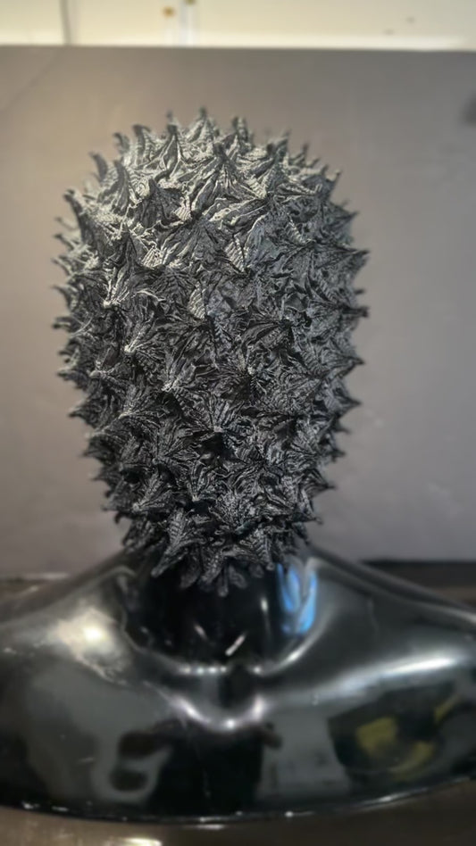 The Black Virus Lace Mask